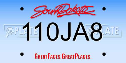 110JA8 South Dakota License Plate