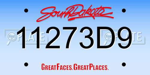 11273D9 South Dakota License Plate