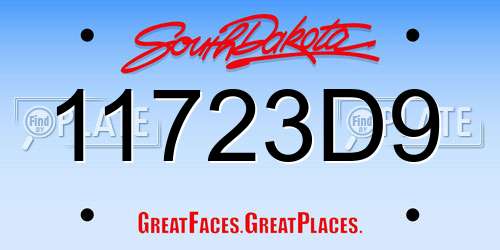11723D9 South Dakota License Plate