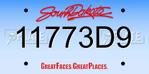 11773D9 South Dakota License Plate