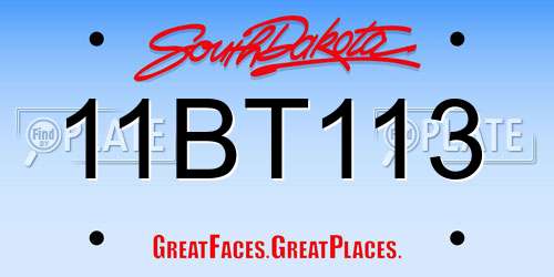 11BT113 South Dakota License Plate