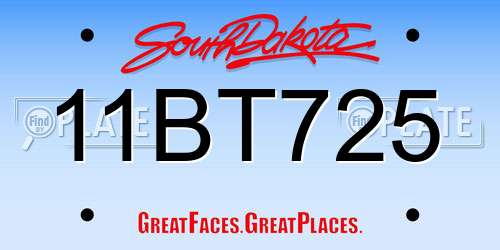 11BT725 South Dakota License Plate