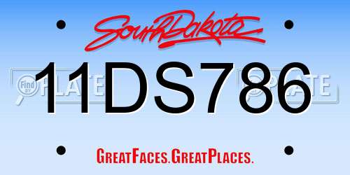 11DS786 South Dakota License Plate