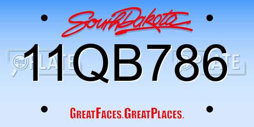 11QB786 South Dakota License Plate