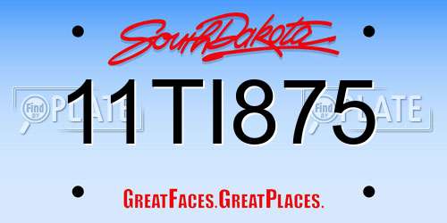 11TI875 South Dakota License Plate