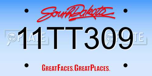 11TT309 South Dakota License Plate