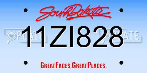 11ZI828 South Dakota License Plate