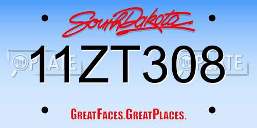 11ZT308 South Dakota License Plate