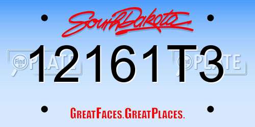 12161T3 South Dakota License Plate