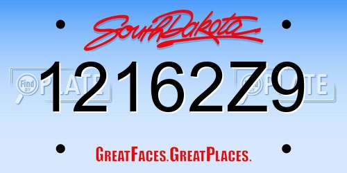 12162Z9 South Dakota License Plate