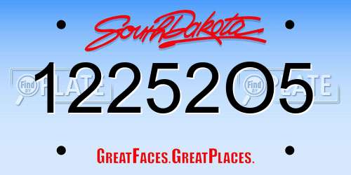 12252O5 South Dakota License Plate