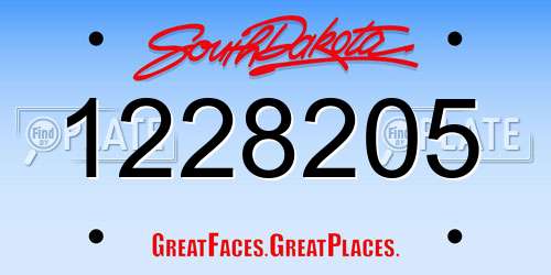 1228205 South Dakota License Plate
