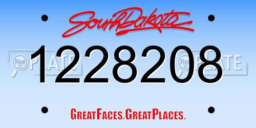 1228208 South Dakota License Plate