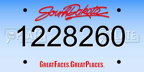 1228260 South Dakota License Plate