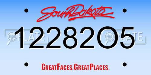 12282O5 South Dakota License Plate
