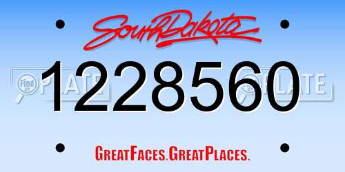 1228560 South Dakota License Plate