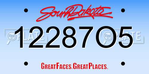 12287O5 South Dakota License Plate
