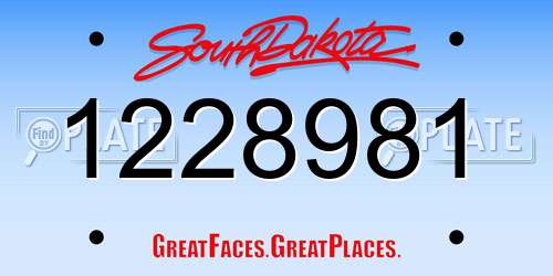 1228981 South Dakota License Plate