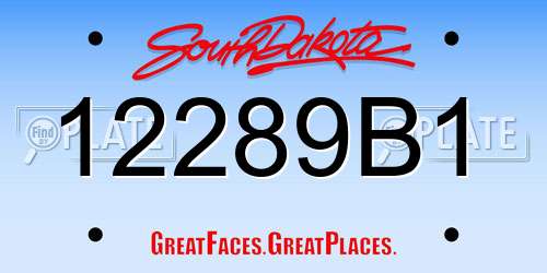 12289B1 South Dakota License Plate