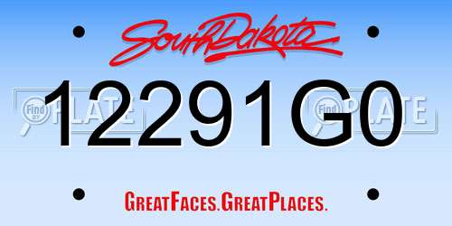 12291G0 South Dakota License Plate