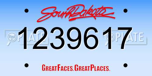 1239617 South Dakota License Plate