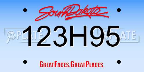 123H95 South Dakota License Plate