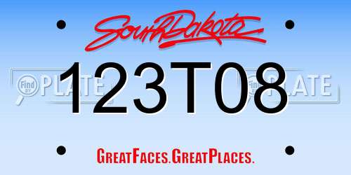 123T08 South Dakota License Plate
