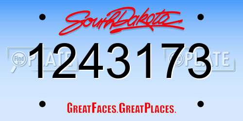 1243173 South Dakota License Plate
