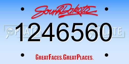 1246560 South Dakota License Plate