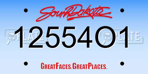 12554O1 South Dakota License Plate