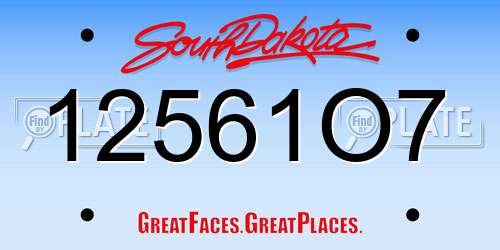 12561O7 South Dakota License Plate