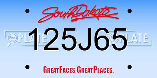 125J65 South Dakota License Plate