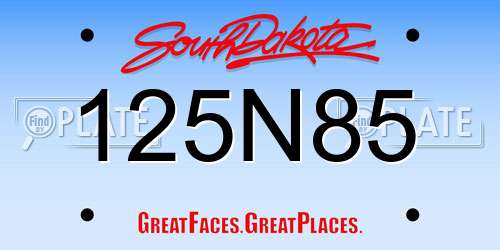 125N85 South Dakota License Plate