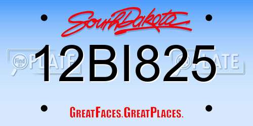 12BI825 South Dakota License Plate