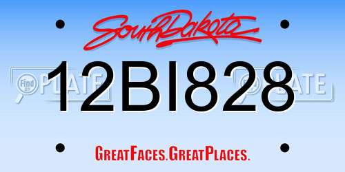 12BI828 South Dakota License Plate