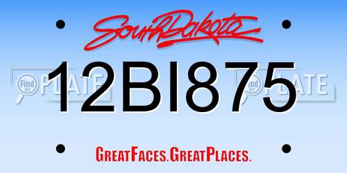 12BI875 South Dakota License Plate