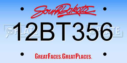 12BT356 South Dakota License Plate