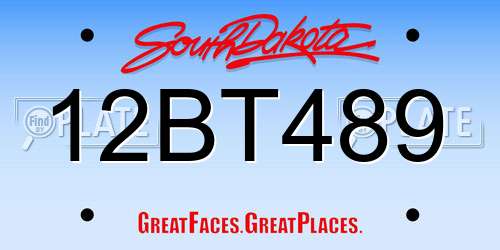12BT489 South Dakota License Plate
