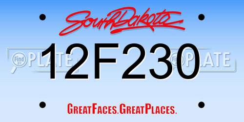 12F230 South Dakota License Plate