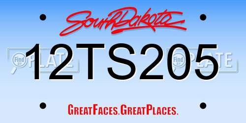 12TS205 South Dakota License Plate