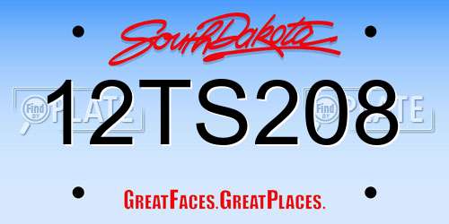 12TS208 South Dakota License Plate