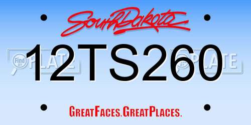12TS260 South Dakota License Plate