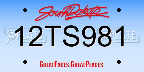 12TS981 South Dakota License Plate