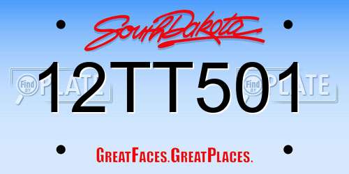 12TT501 South Dakota License Plate