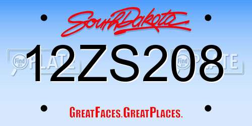 12ZS208 South Dakota License Plate