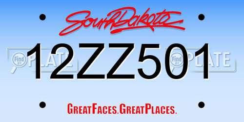 12ZZ501 South Dakota License Plate