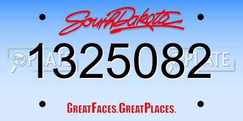 1325082 South Dakota License Plate