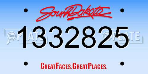 1332825 South Dakota License Plate