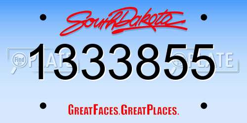 1333855 South Dakota License Plate