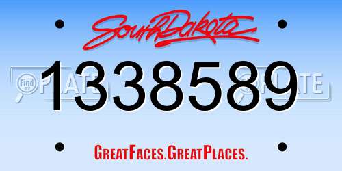 1338589 South Dakota License Plate